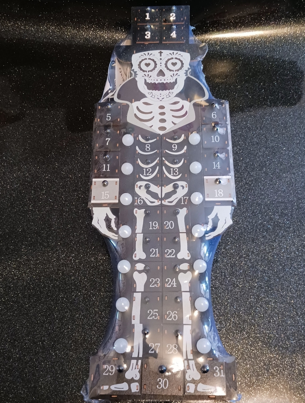 Martha Stewart Day of the Dead Light Up Skeleton Halloween Advent Calander.